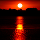Illustration for article titled 166 Sunrises and Sunsets